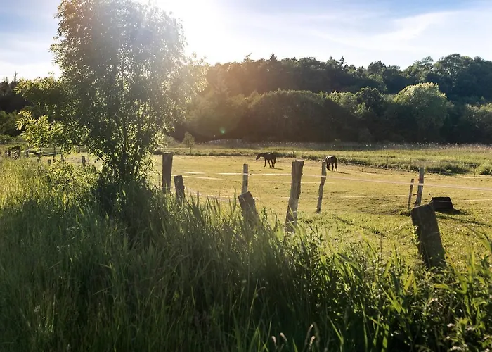 Appartement De Ole School Ferienapartments Medium-apartment 03 , Huus Stranden *