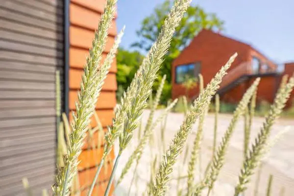 De Ole School Ferienapartments Medium-apartment 03 , Huus Stranden